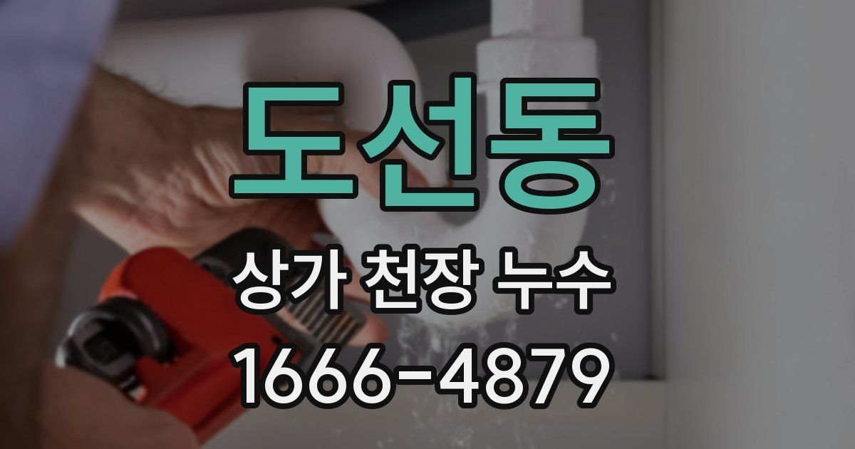 도선동 상가 천장 누수