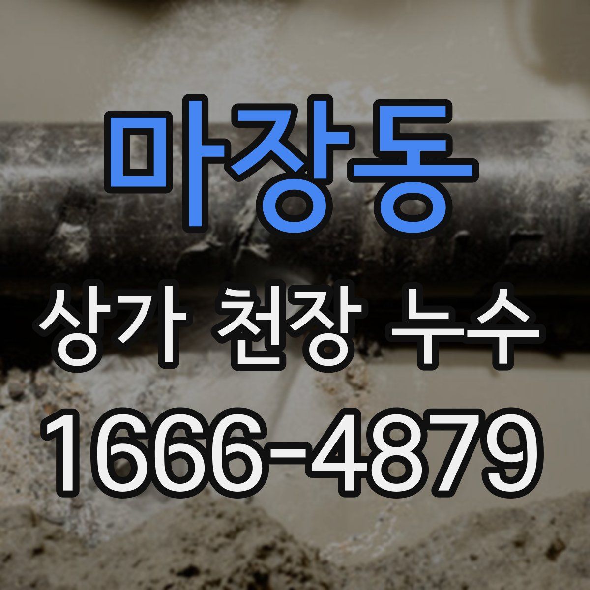 마장동 상가 천장 누수