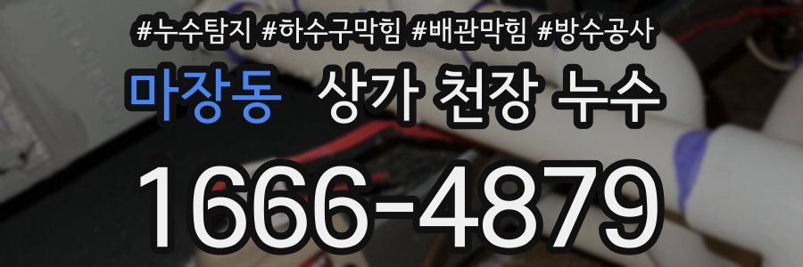 마장동 상가 천장 누수