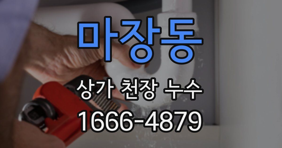 마장동 상가 천장 누수