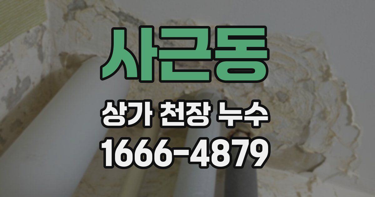 사근동 상가 천장 누수