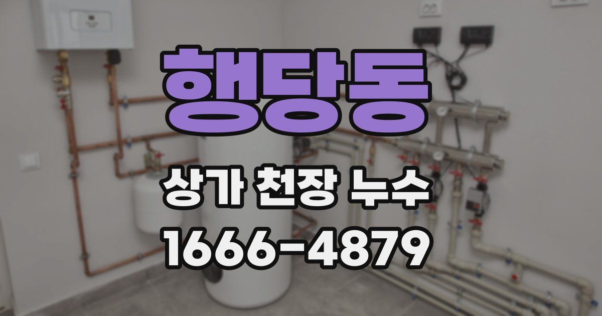 행당동 상가 천장 누수