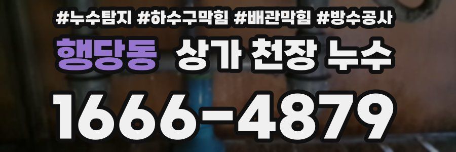 행당동 상가 천장 누수