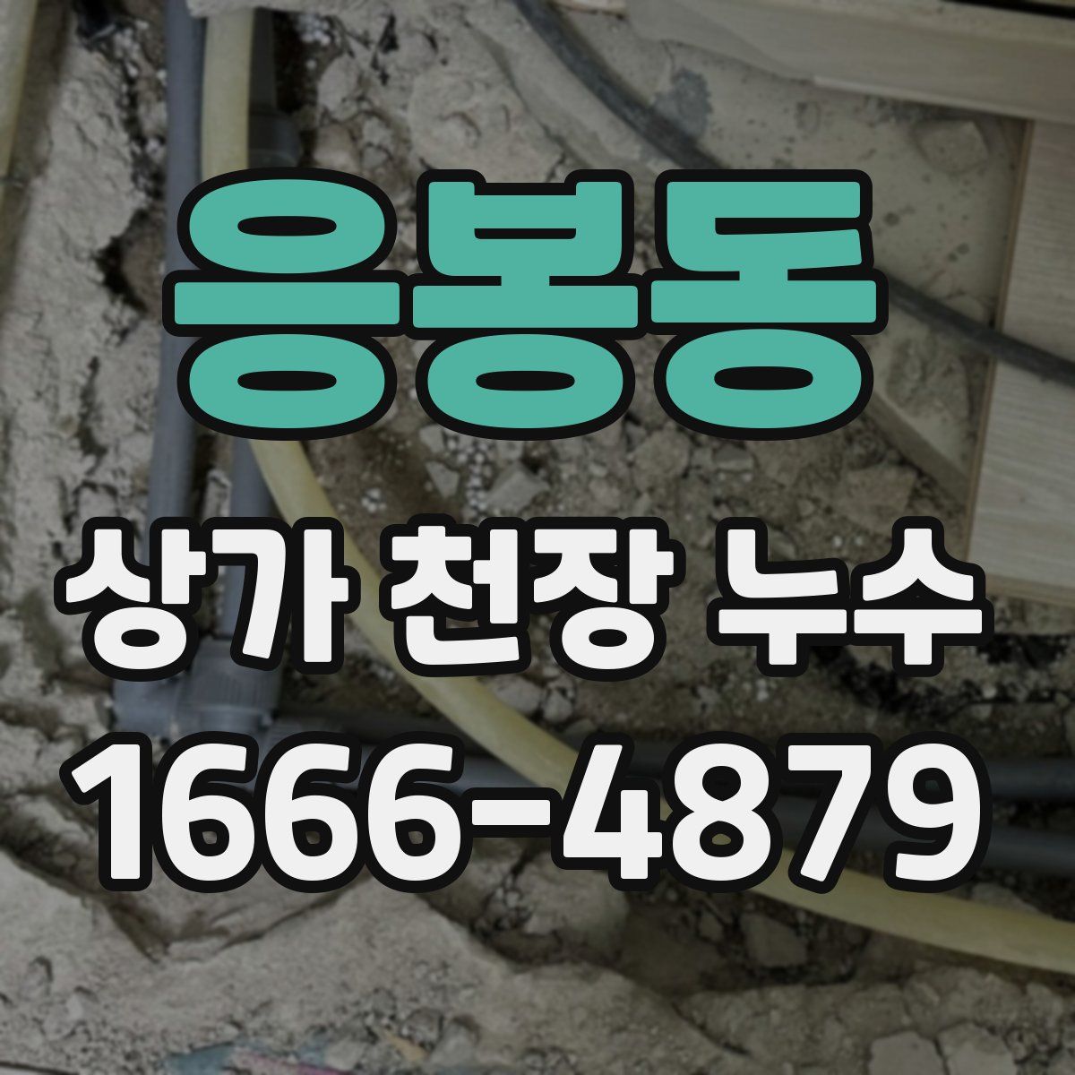 응봉동 상가 천장 누수