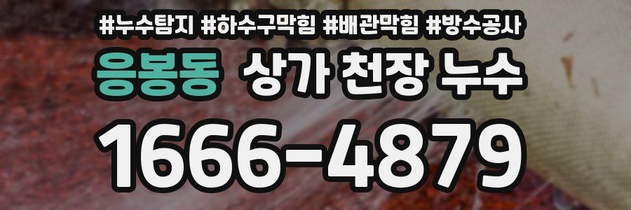 응봉동 상가 천장 누수