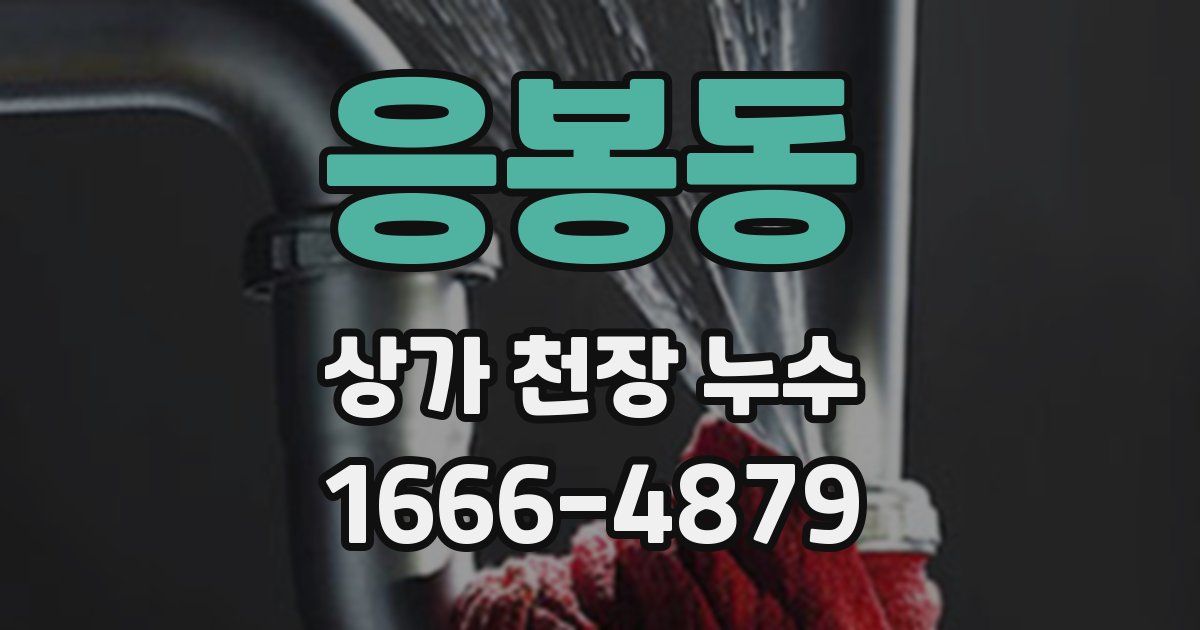 응봉동 상가 천장 누수