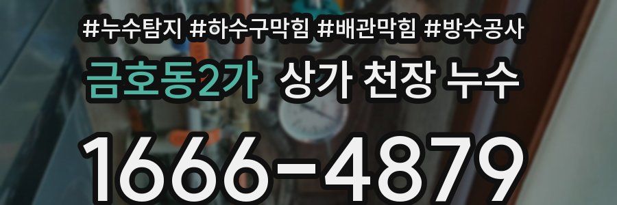 금호동2가 상가 천장 누수