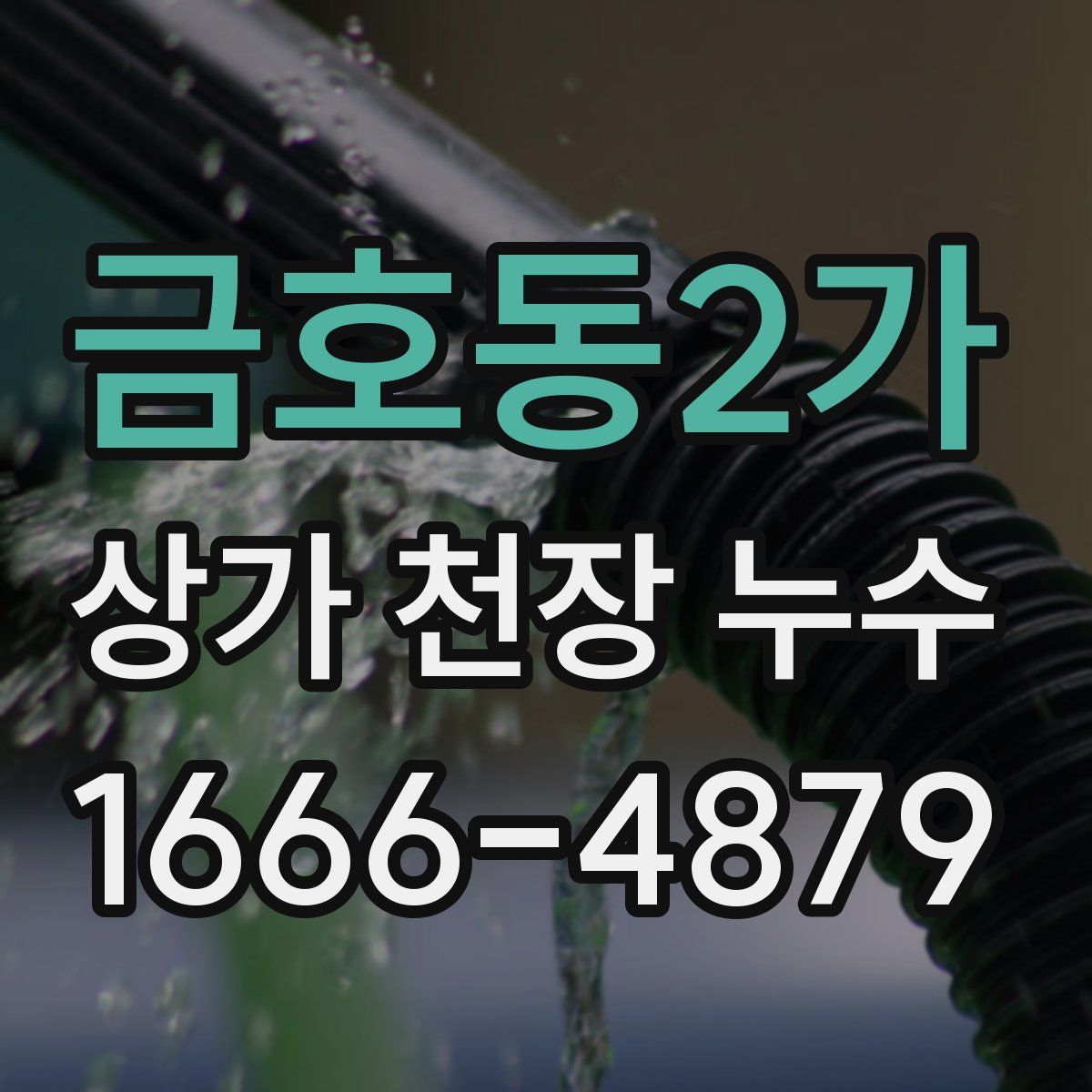금호동2가 상가 천장 누수