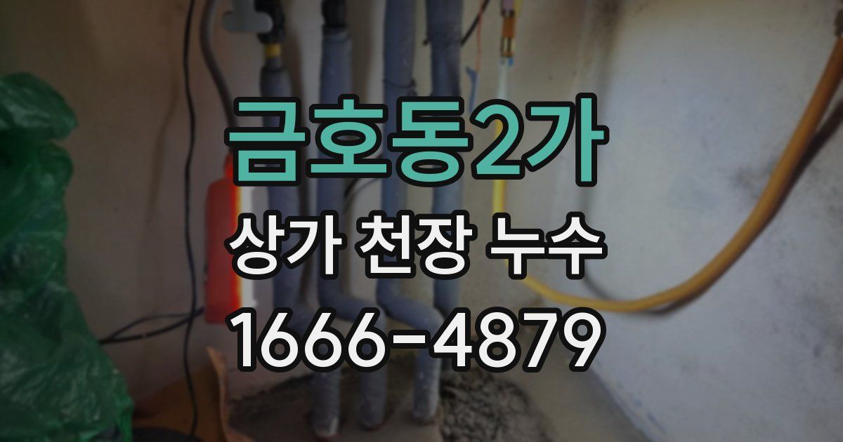 금호동2가 상가 천장 누수