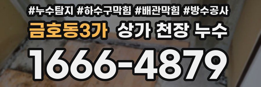 금호동3가 상가 천장 누수