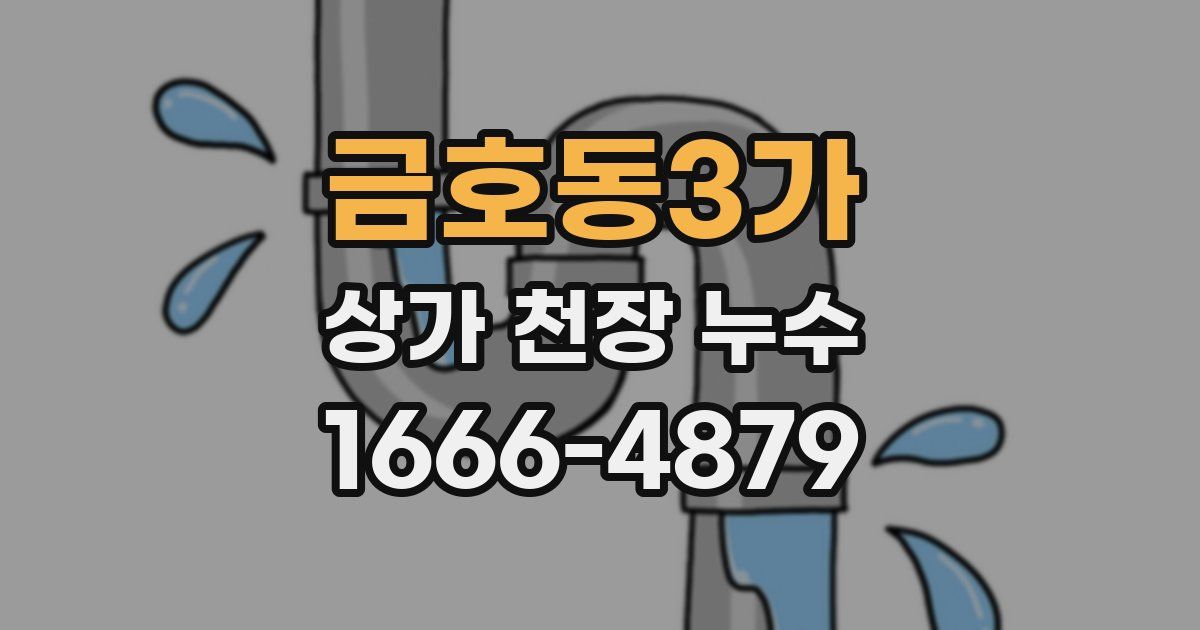 금호동3가 상가 천장 누수