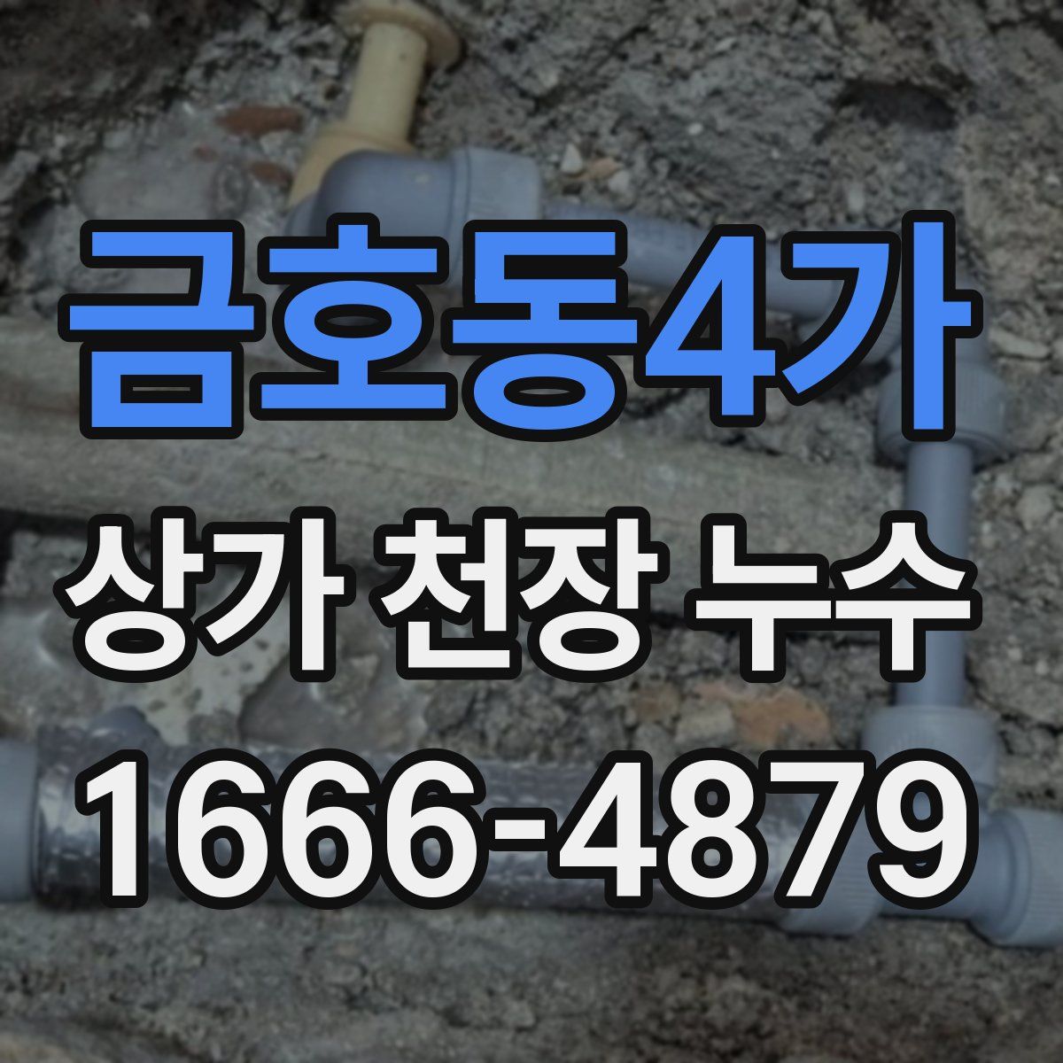금호동4가 상가 천장 누수