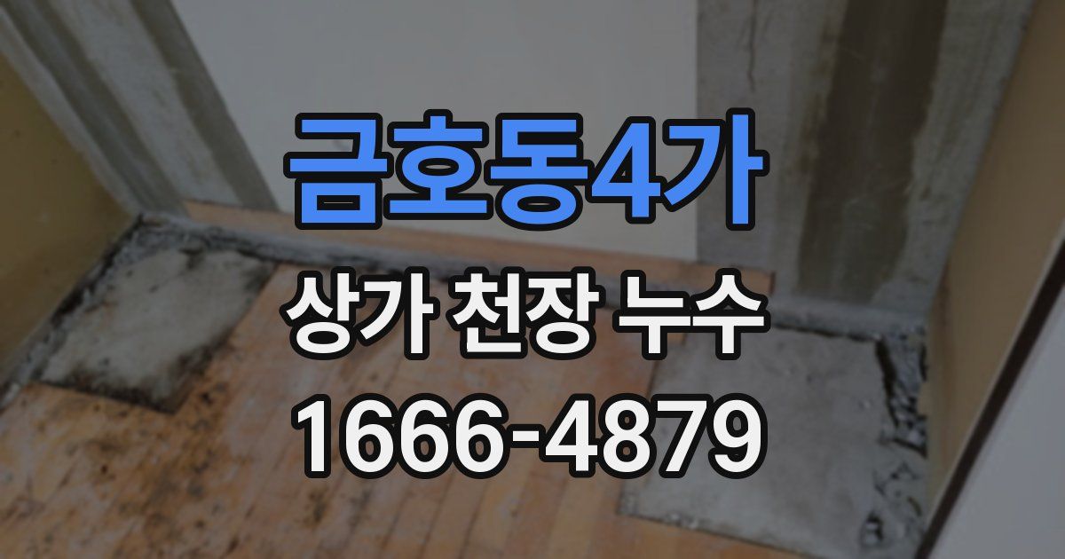 금호동4가 상가 천장 누수