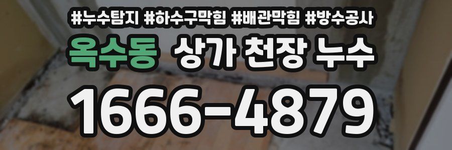 옥수동 상가 천장 누수