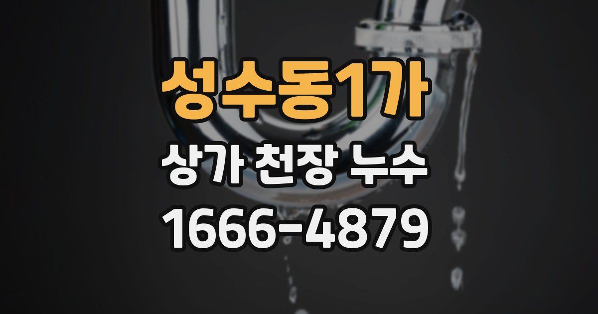성수동1가 상가 천장 누수