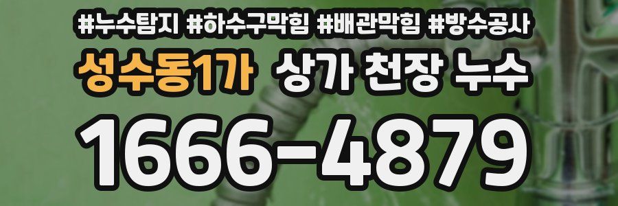 성수동1가 상가 천장 누수