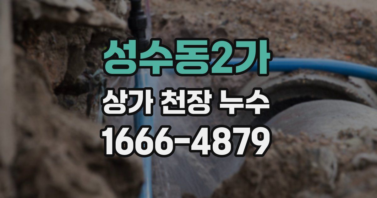 성수동2가 상가 천장 누수