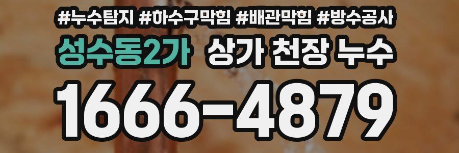 성수동2가 상가 천장 누수