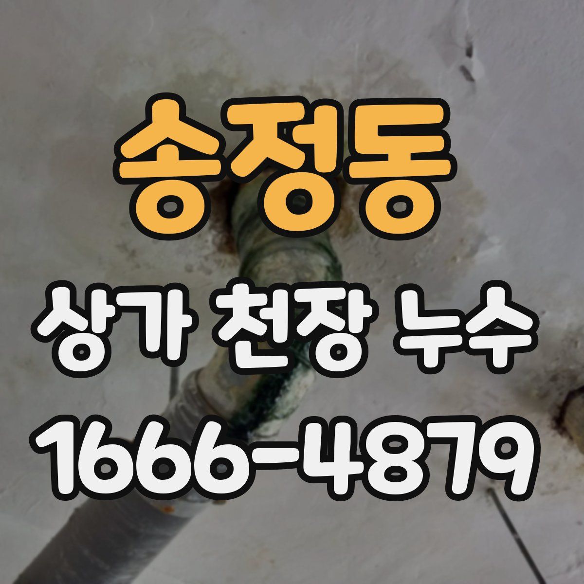 송정동 상가 천장 누수