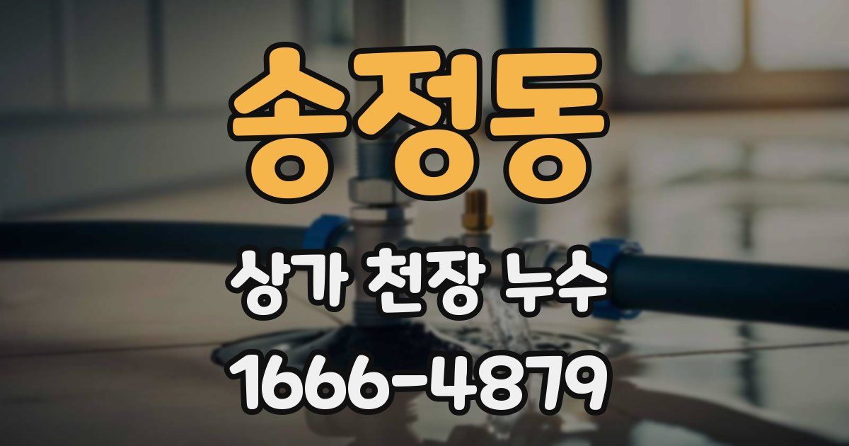 송정동 상가 천장 누수