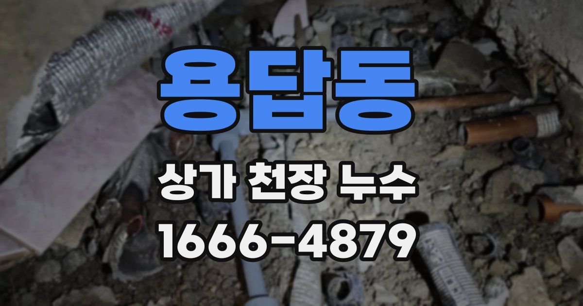 용답동 상가 천장 누수
