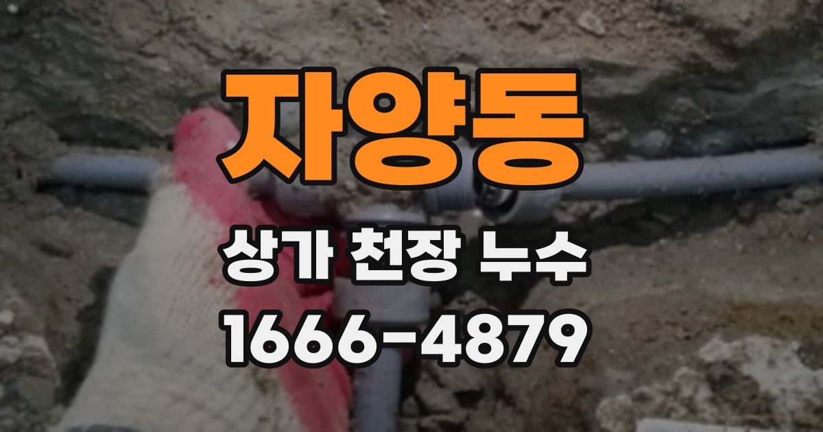 자양동 상가 천장 누수