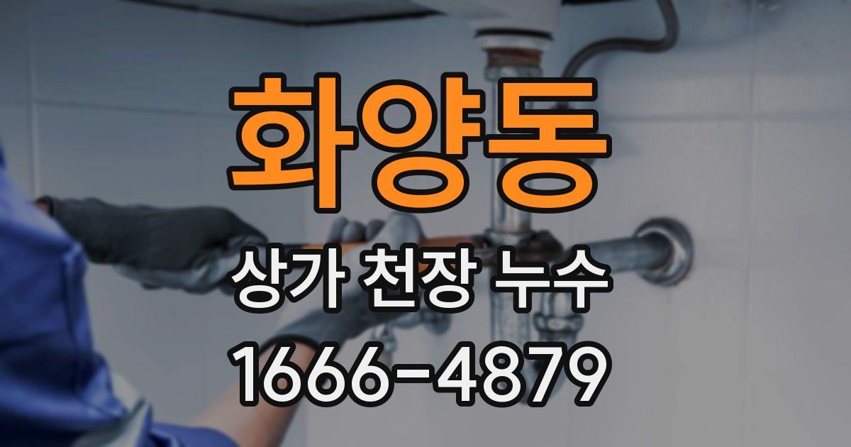 화양동 상가 천장 누수