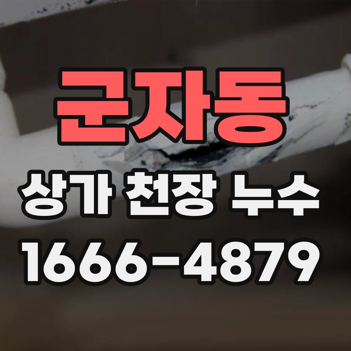 군자동 상가 천장 누수