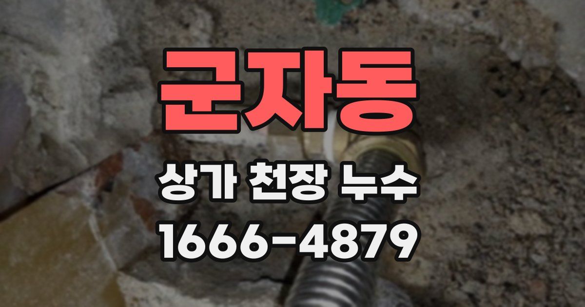 군자동 상가 천장 누수