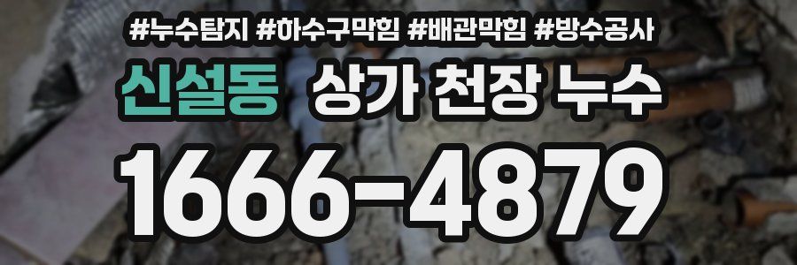 신설동 상가 천장 누수