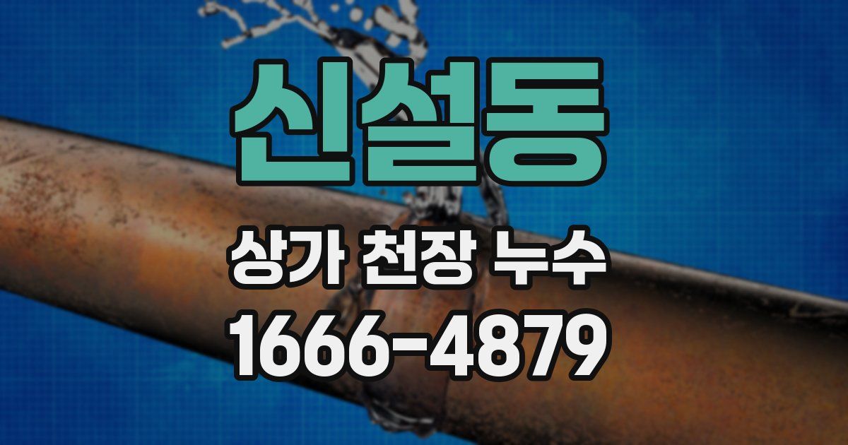 신설동 상가 천장 누수