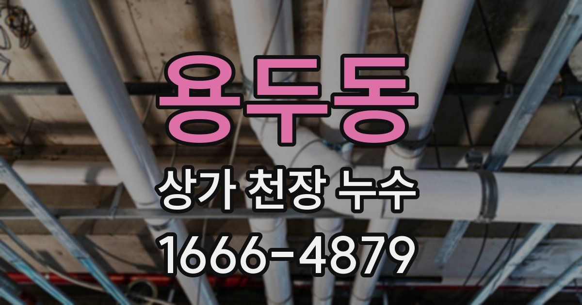 용두동 상가 천장 누수