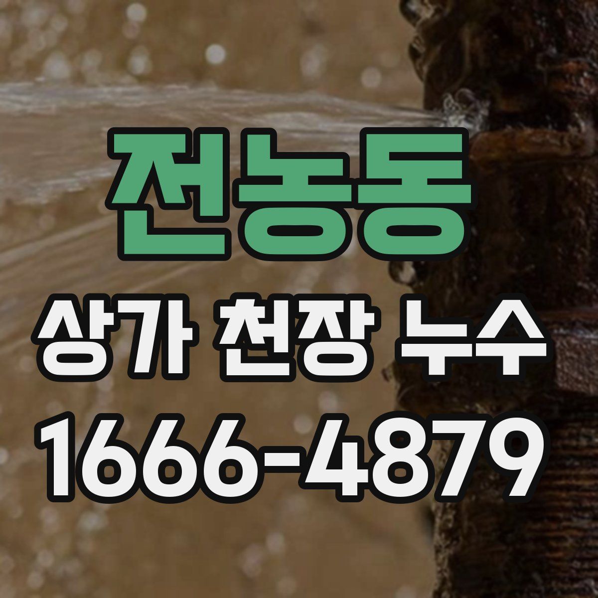 전농동 상가 천장 누수