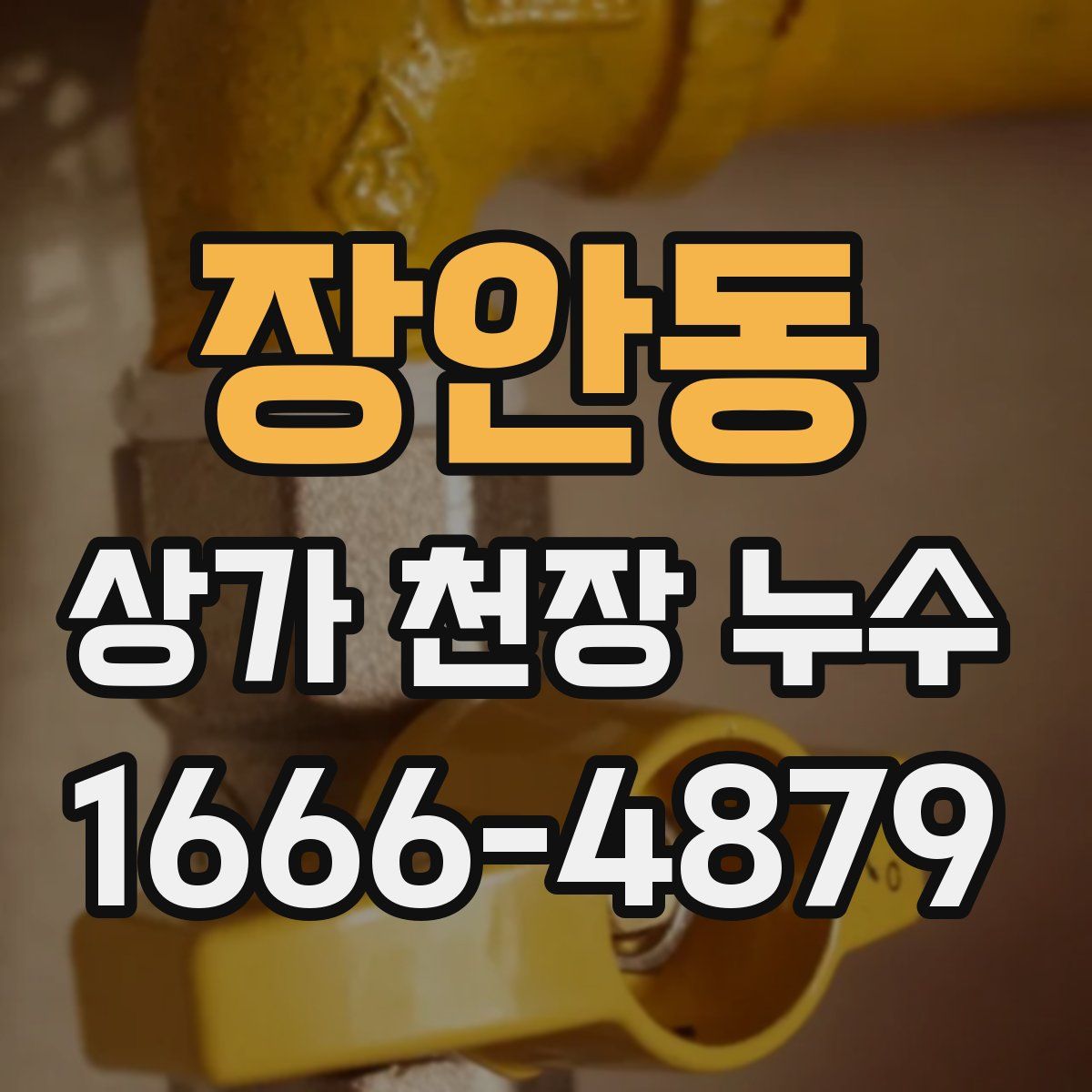 장안동 상가 천장 누수