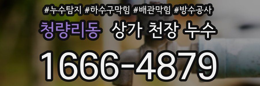청량리동 상가 천장 누수