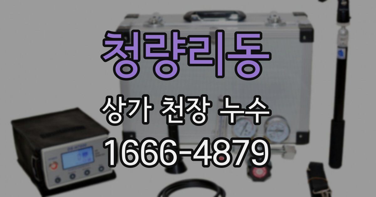 청량리동 상가 천장 누수