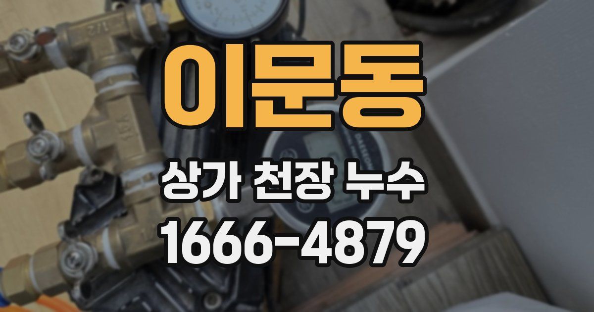이문동 상가 천장 누수
