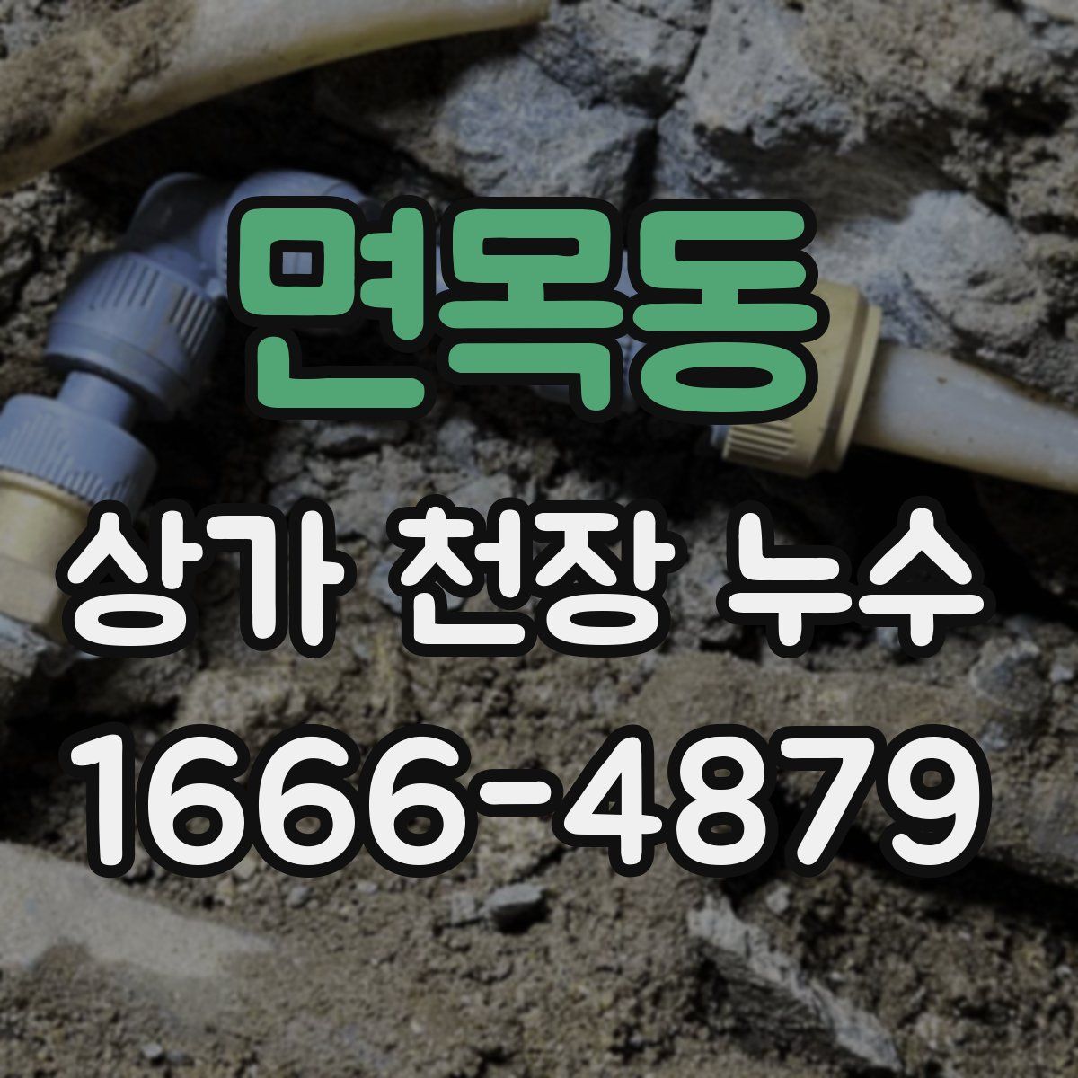 면목동 상가 천장 누수