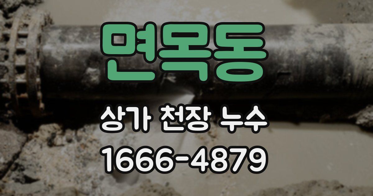 면목동 상가 천장 누수