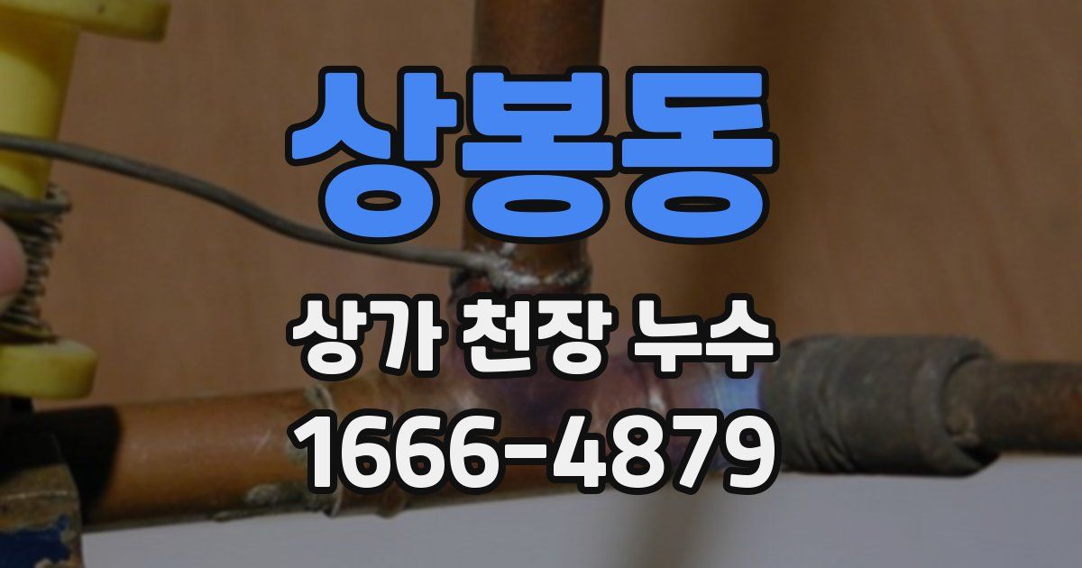 상봉동 상가 천장 누수