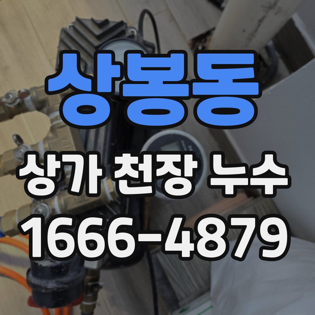 상봉동 상가 천장 누수