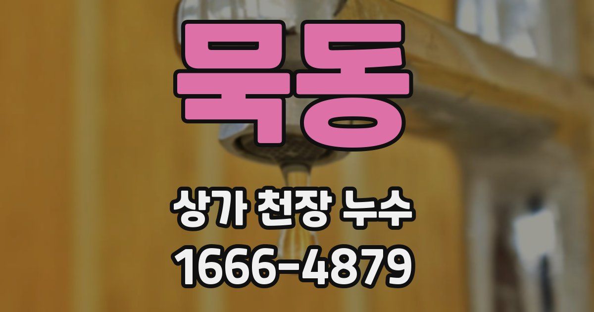 묵동 상가 천장 누수