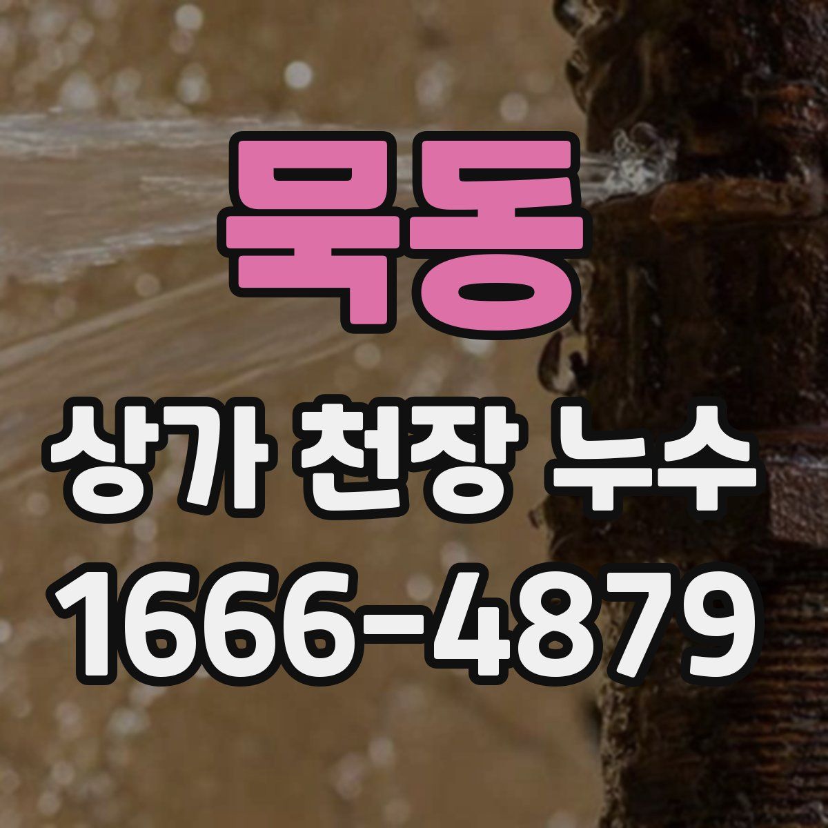 묵동 상가 천장 누수