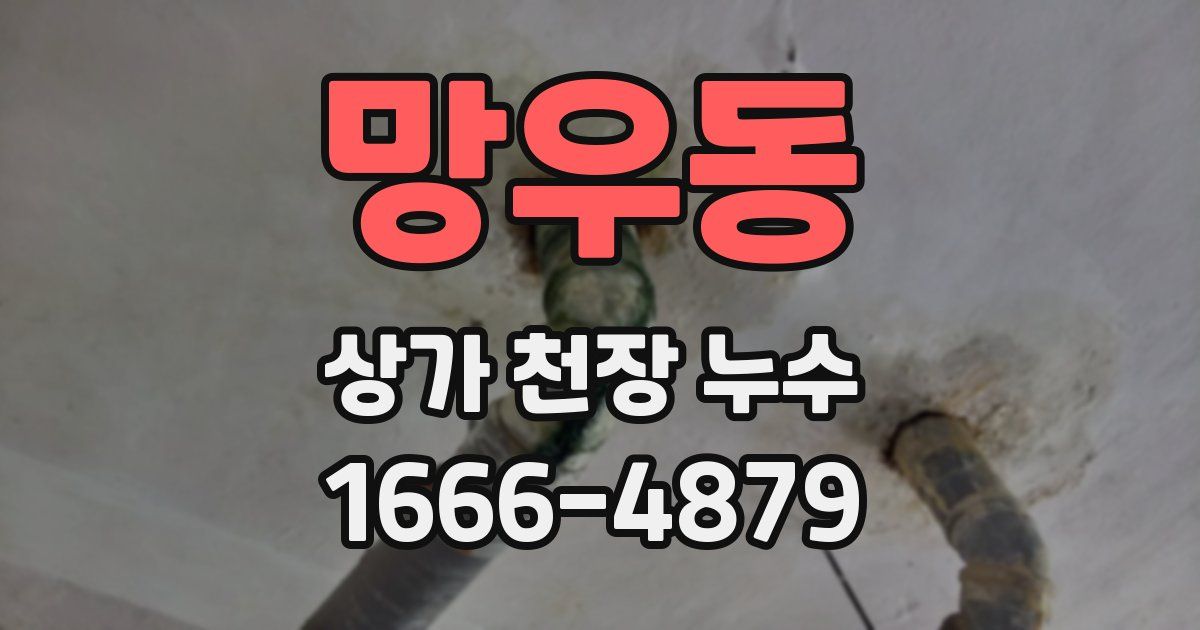 망우동 상가 천장 누수