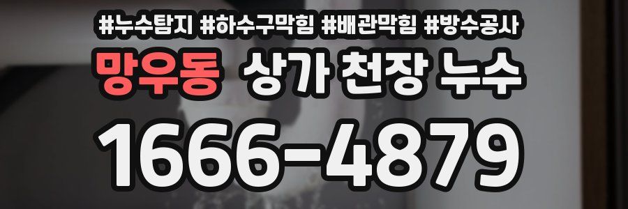망우동 상가 천장 누수