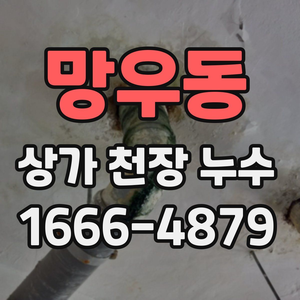 망우동 상가 천장 누수