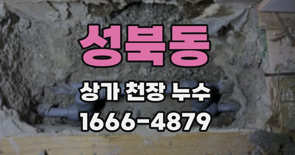 성북동 상가 천장 누수