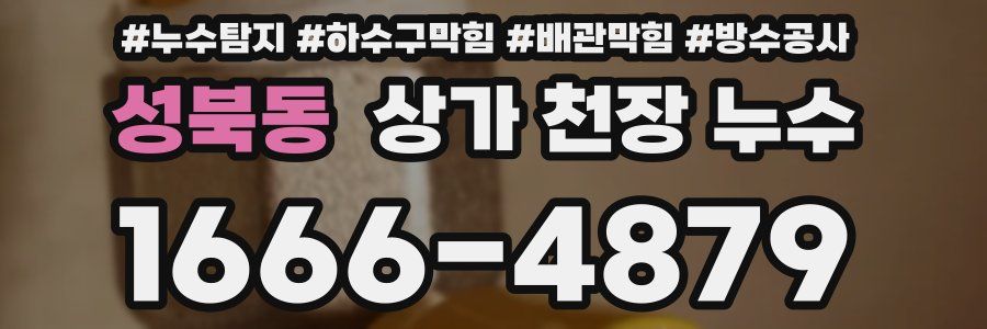 성북동 상가 천장 누수