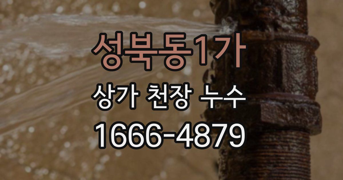 성북동1가 상가 천장 누수