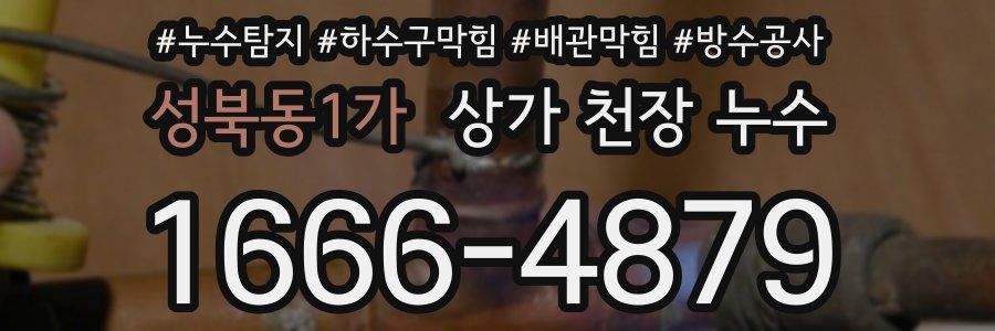 성북동1가 상가 천장 누수